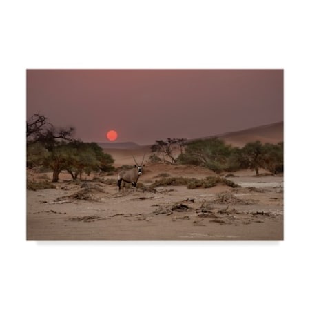Hans Repelnig 'Savannah Sunset Landscape' Canvas Art,22x32
